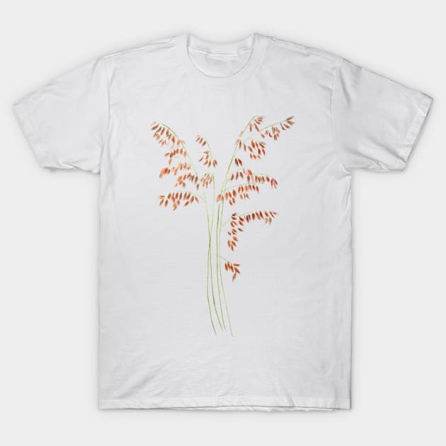 smooth brome grass seed head watercolor T-Shirt by colorandcolor